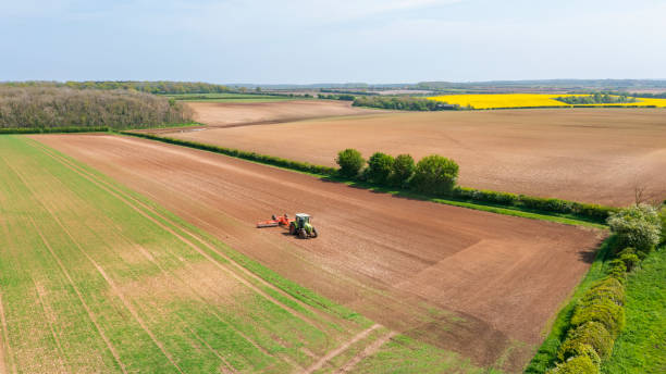 Lincs Committee Meeting/10th September 2026